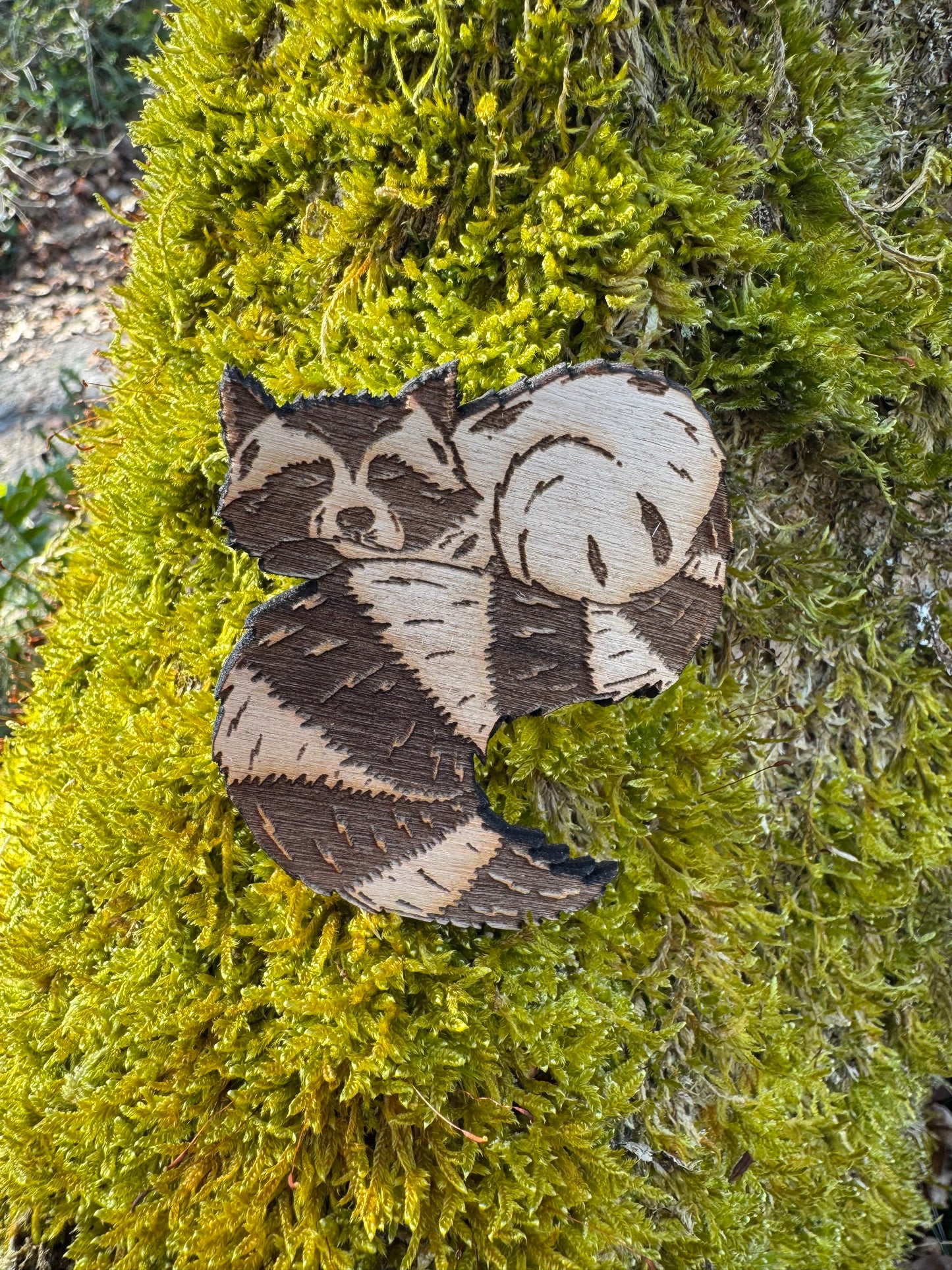 Magnet "Racoon"