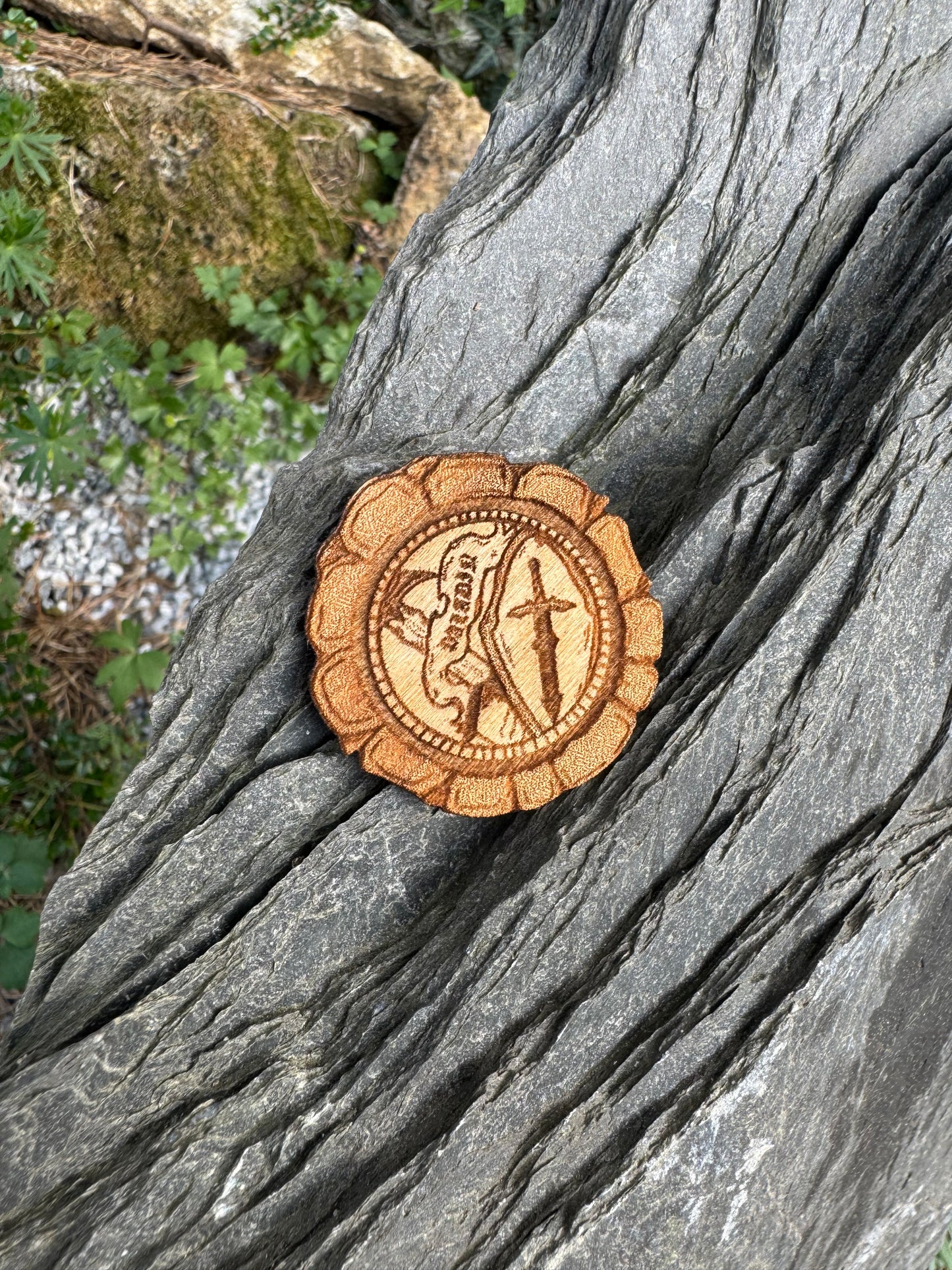 Jeton JDR ( Paladin )